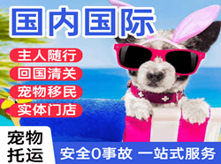 牡丹江海浪航空运输国际宠物托运 【国